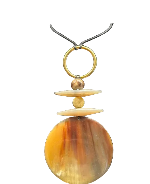 Horn Disc Bullet necklace